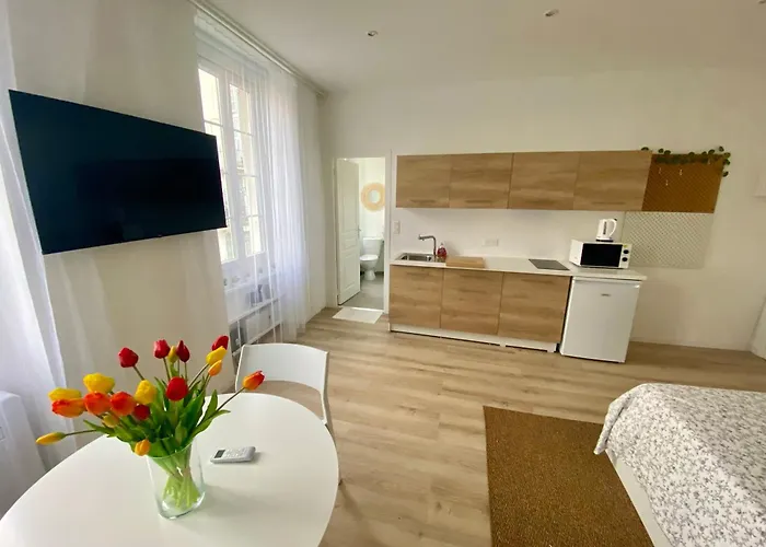 Royal Massena Apartment